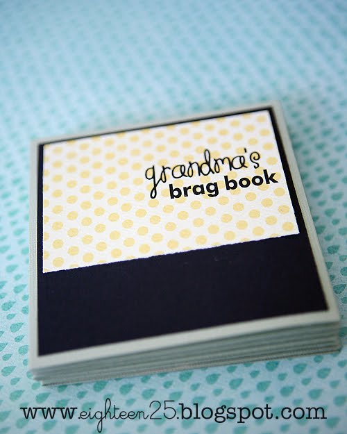 Adorable Summer Mini Brag Book!
