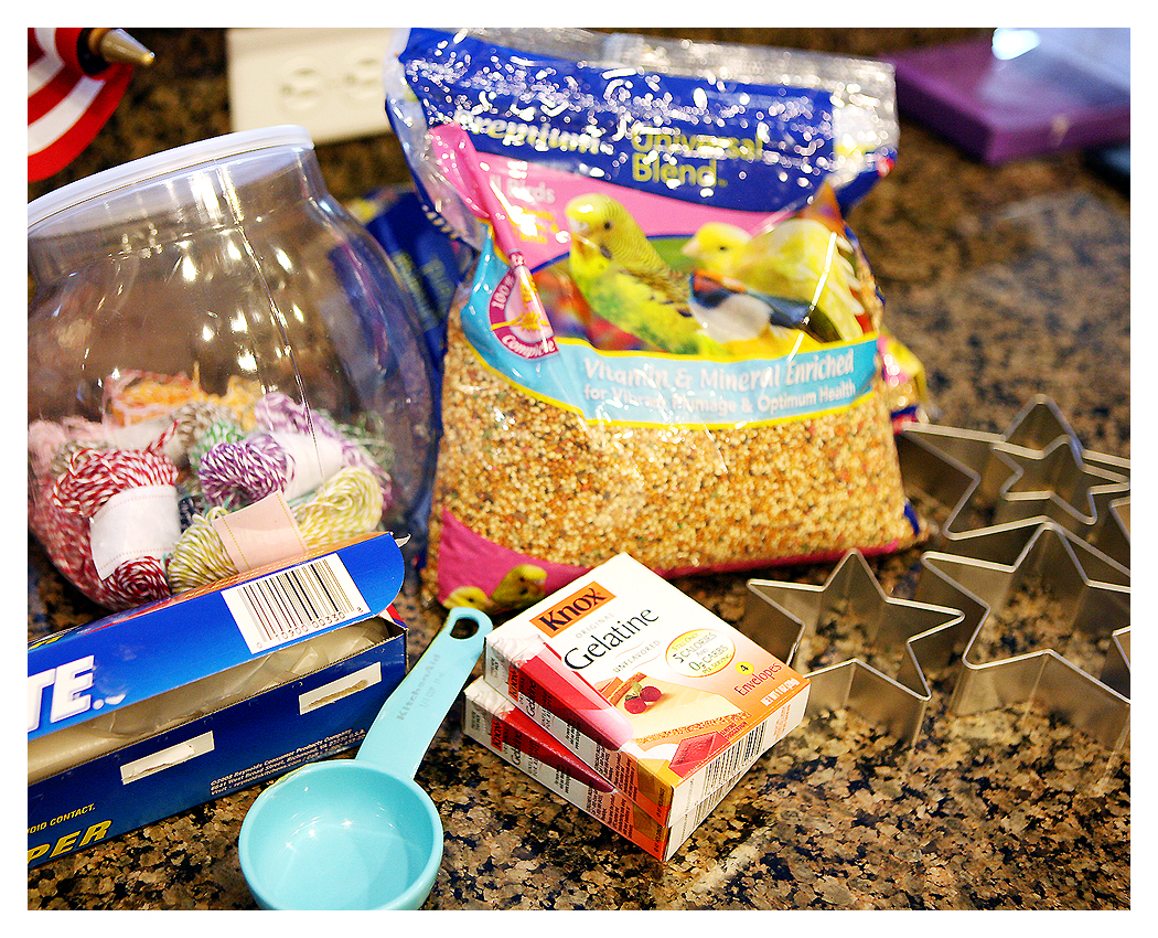 supplies to make your own bird feeders