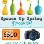 Huge Spring Spruce Up Giveaway!