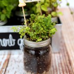 DIY Herb Garden & Plant Markers