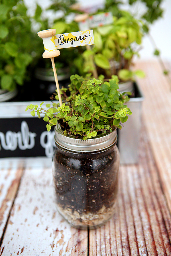 DIY Plant Markers for your Herb Garden