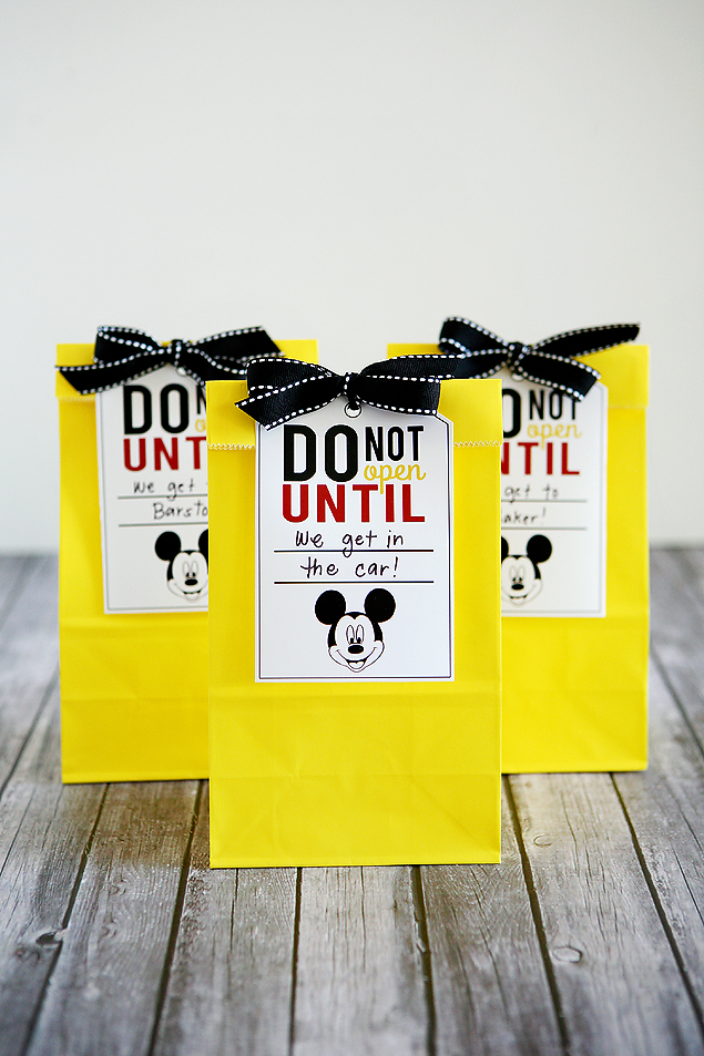 Disney Trip Fun Bags