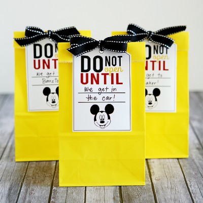 Disney Trip Fun Bags