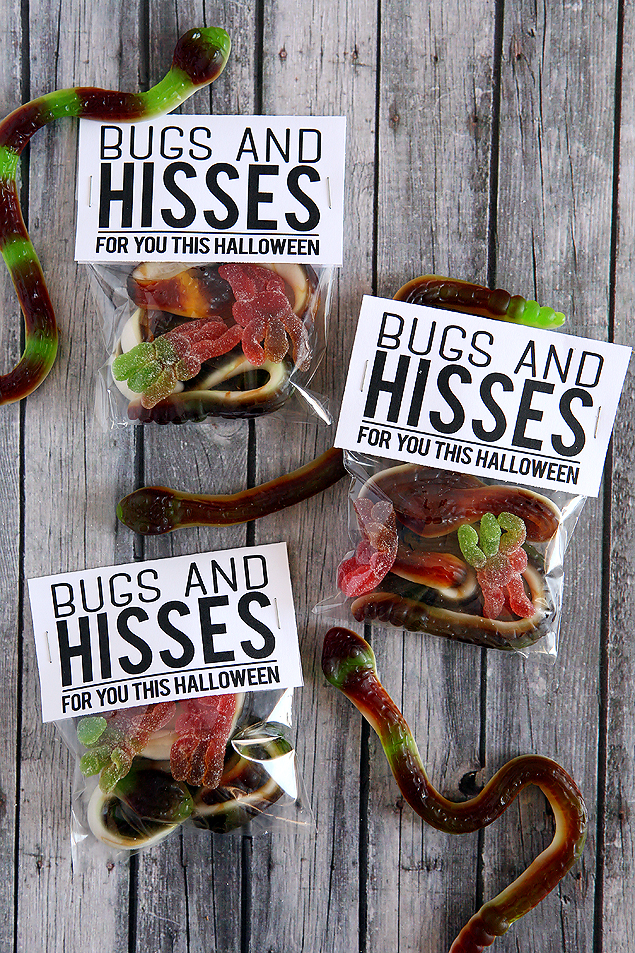 Bugs and Hisses Treat toppers