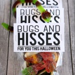 Bugs And Hisses Treat Bag Toppers