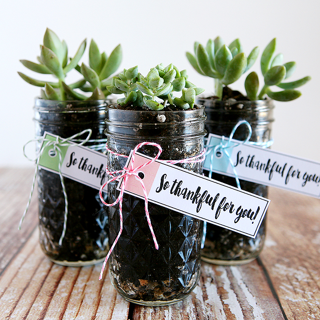 Thankful For You Labels, Thanksgiving Hostess Gifts