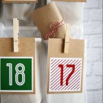 Shoe Organizer Christmas Countdown