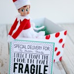 Elf On The Shelf Returns