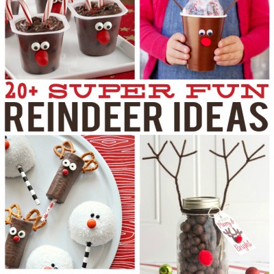 Over 20 Super Fun Reindeer Ideas