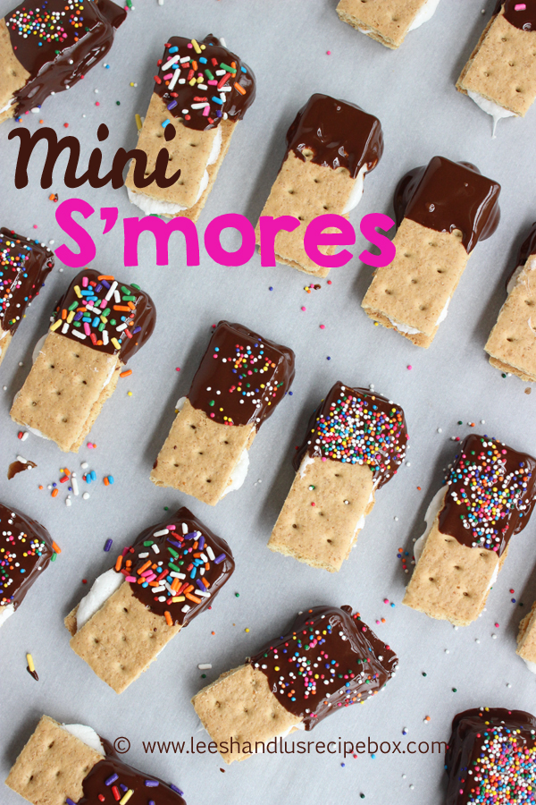 https://eighteen25.com/wp-content/uploads/2016/03/Mini-Smores-40-Leesh-and-Lu.jpg