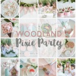 Woodland Pixie Party