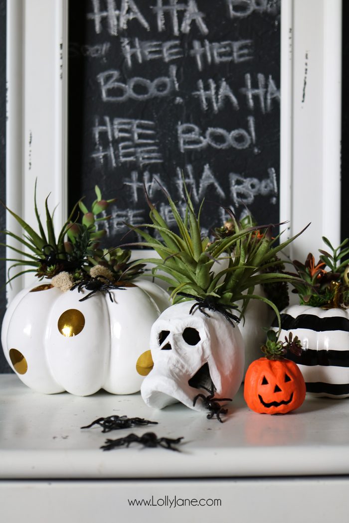 Halloween Succulent Planters | Halloween Decorations
