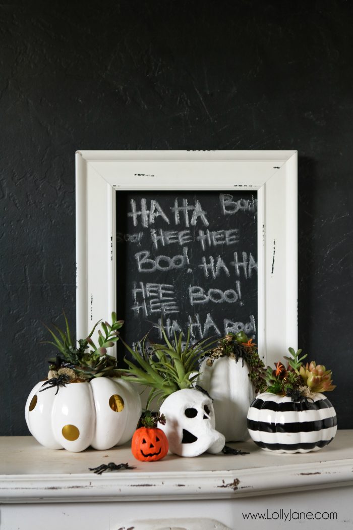 Halloween Succulent Planters - Eighteen25