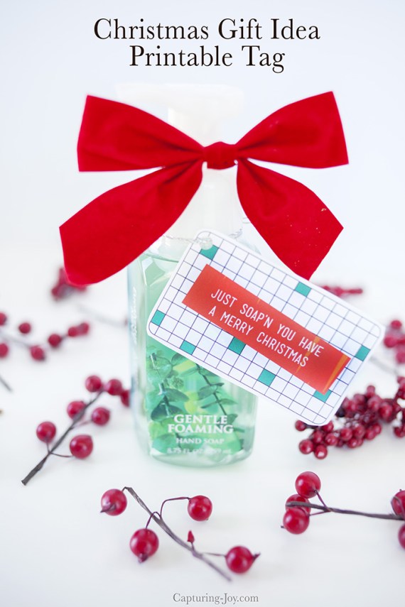 25+ Christmas Neighbor Gift Ideas with Printables - The Polka Dot Chair