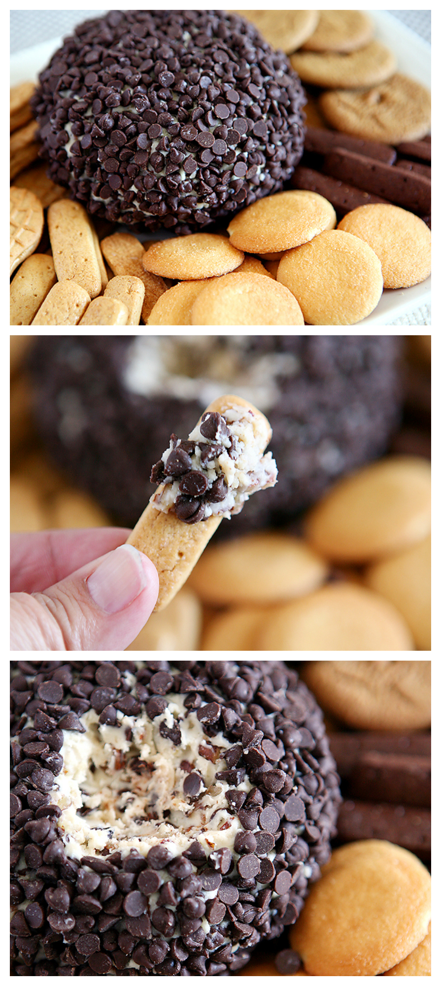 Chocolate Chip Cheese Ball | This easy Chocolate Cheese Ball Recipe is quick to put together and tastes delicious! 