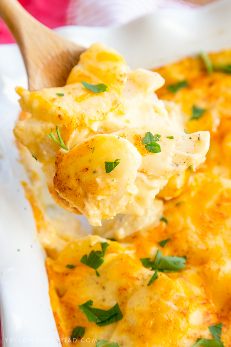Cheesy Scalloped Potatoes from Yellow Bliss Road