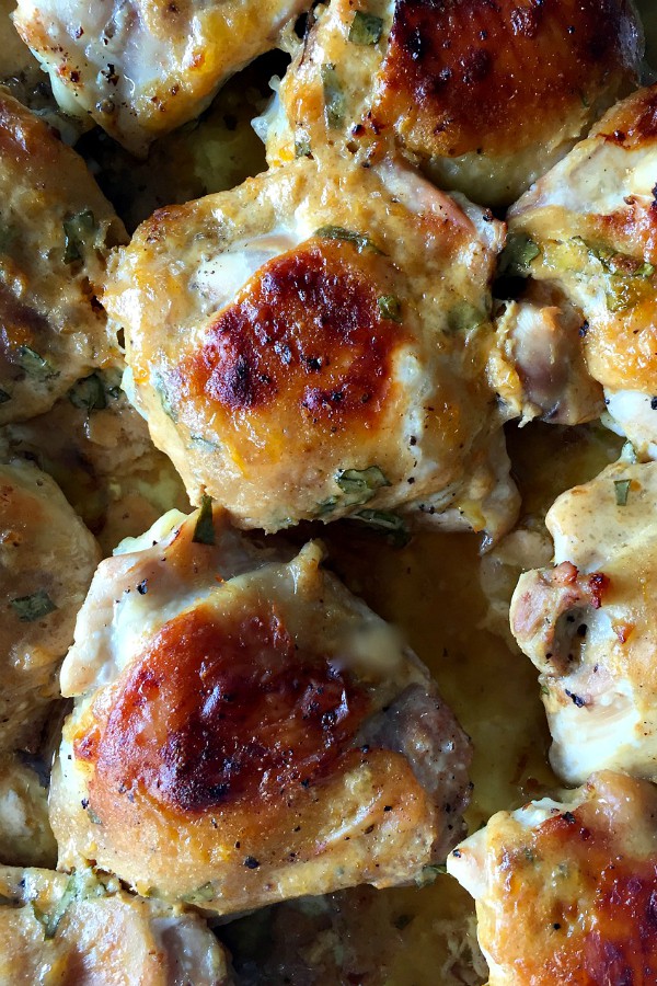 APRICOT GREEK YOGURT CHICKEN THIGHS from Reluctant Entertainer