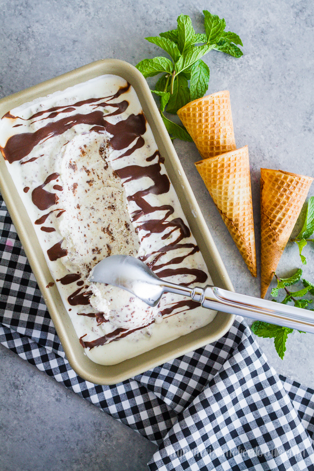 Mint Chocolate Chip Ice Cream | Homemade Ice Cream Recipe