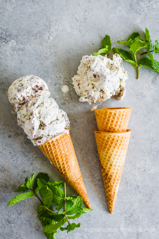 Mint Chocolate Chip Ice Cream | Ice Cream Maker Recipes