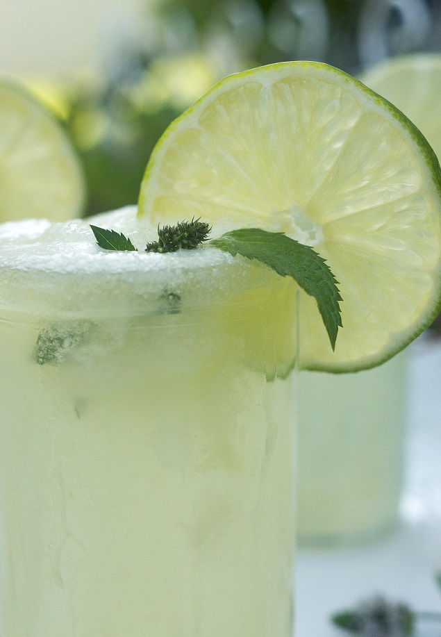 Lemon Lime Slush Recipe