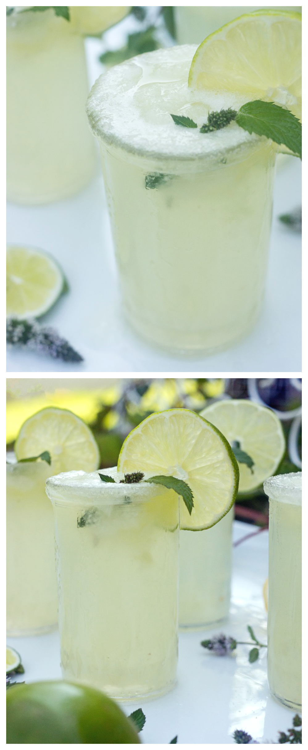 Lemon Lime Slush Recipe
