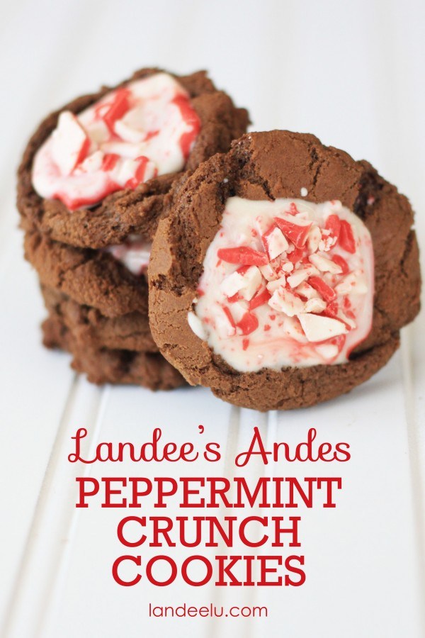 Landee's Andes Peppermint Crunch Cookies| Landeelu