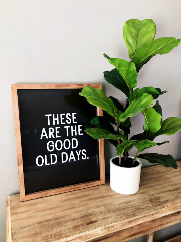 Faux Fiddle Fig Plant from Target