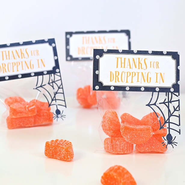 Spider Web Halloween Treat Bags﻿